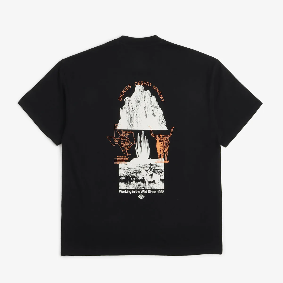 Dickies Pearisburg T-Shirt